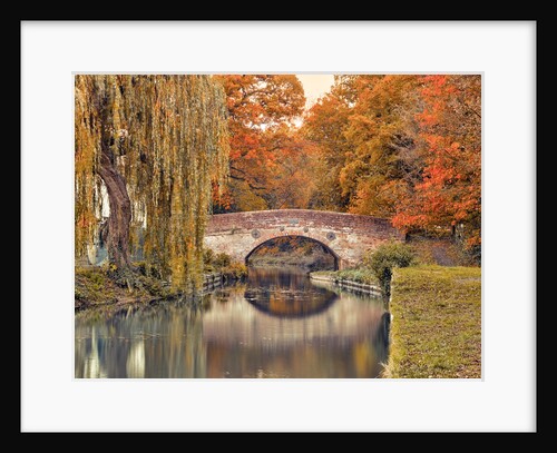 Bridge over a canal by Assaf Frank